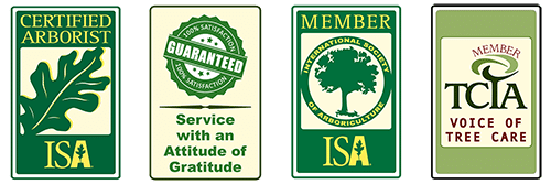 Certified arborist credentials: ISA, TCIA, and satisfaction guarantee badges