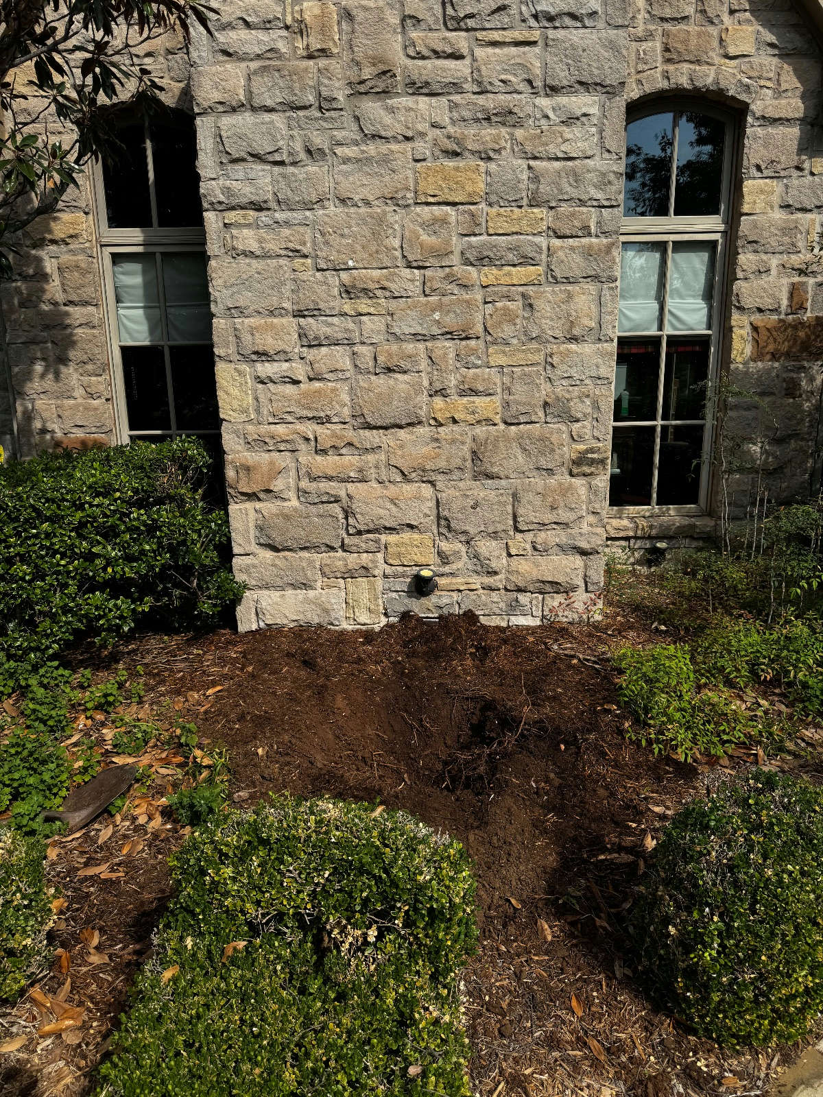 Site after existing tree removal and stump grinding, ready for new planting in Oklahoma City, OK by Arbor Image Tree Care