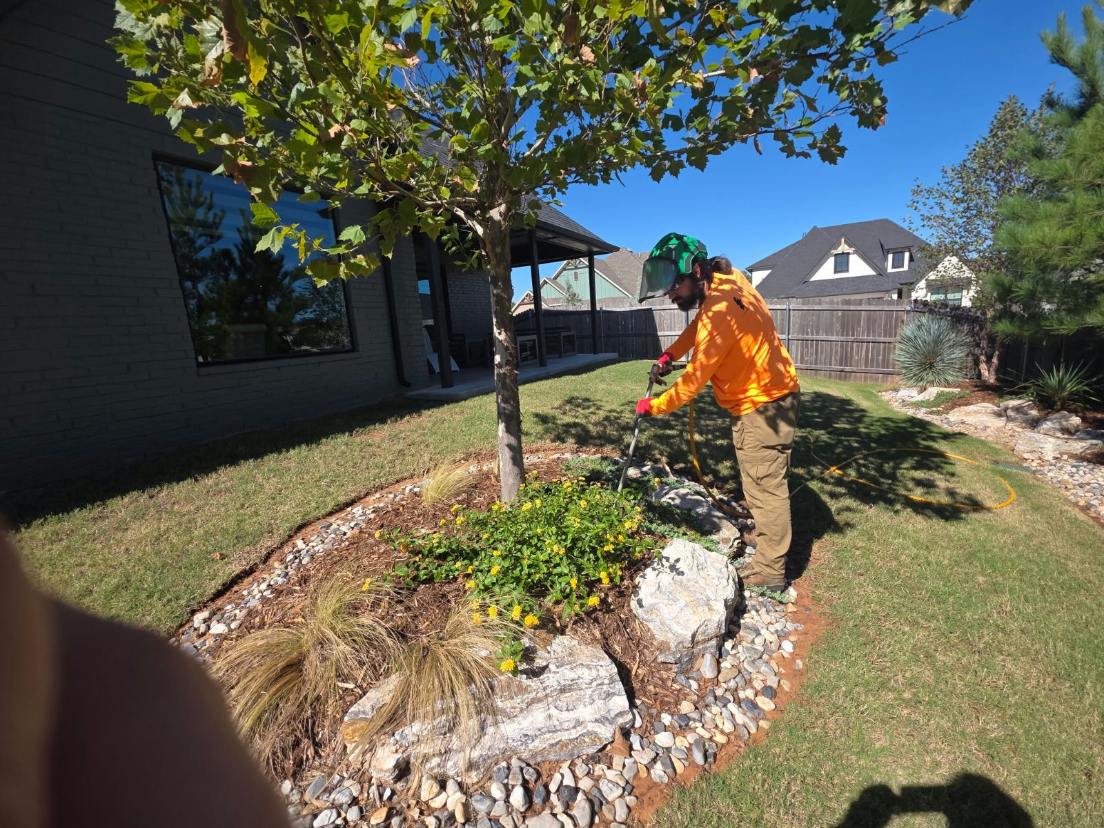 Technician injecting liquid fertilizer into the root zone of a young sycamore — tree health in Edmond, OK by Arbor Image Tree Care