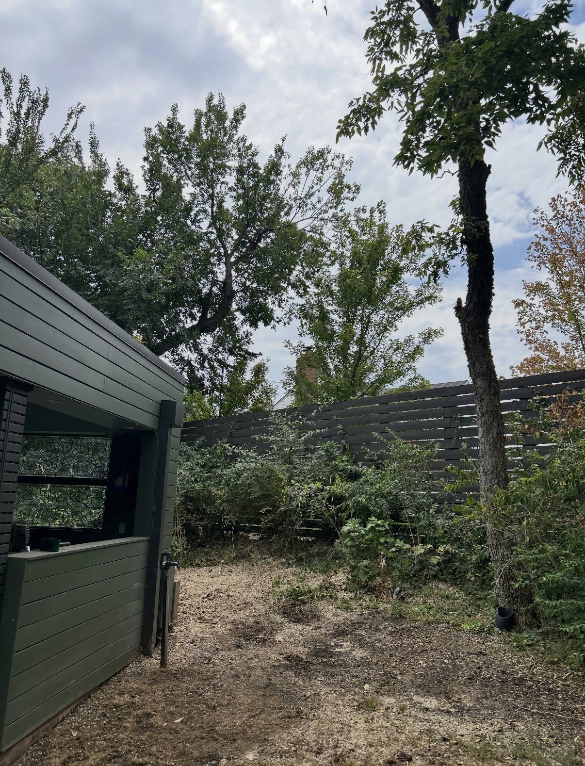Cleared ground area after a tree removal next to a fence and building — tree removal in Nichols Hills, OK by Arbor Image Tree Care