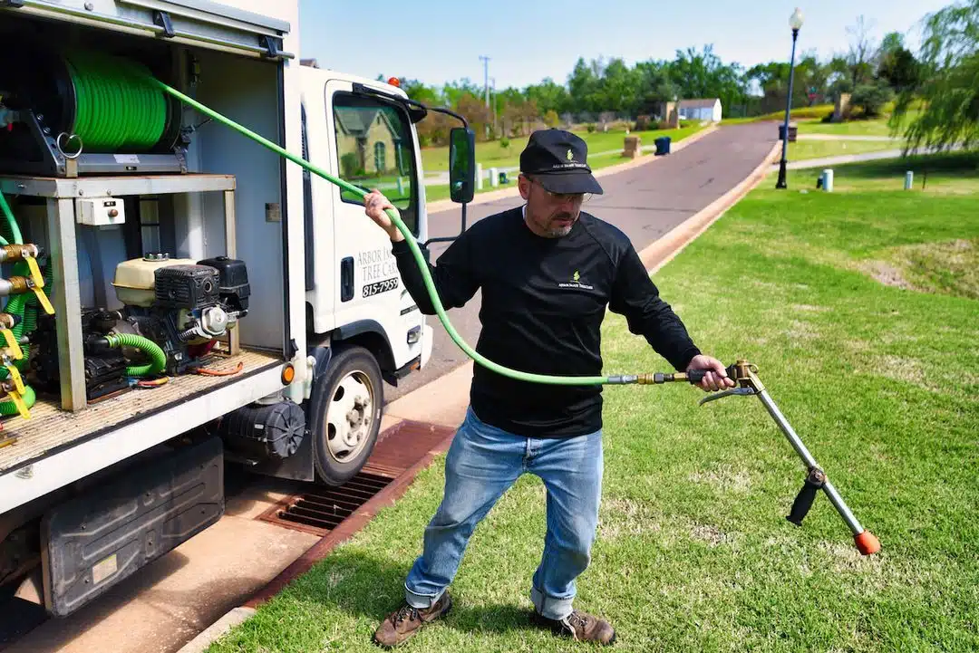 Why Choose Arbor Image? Expert Tree Services in Oklahoma