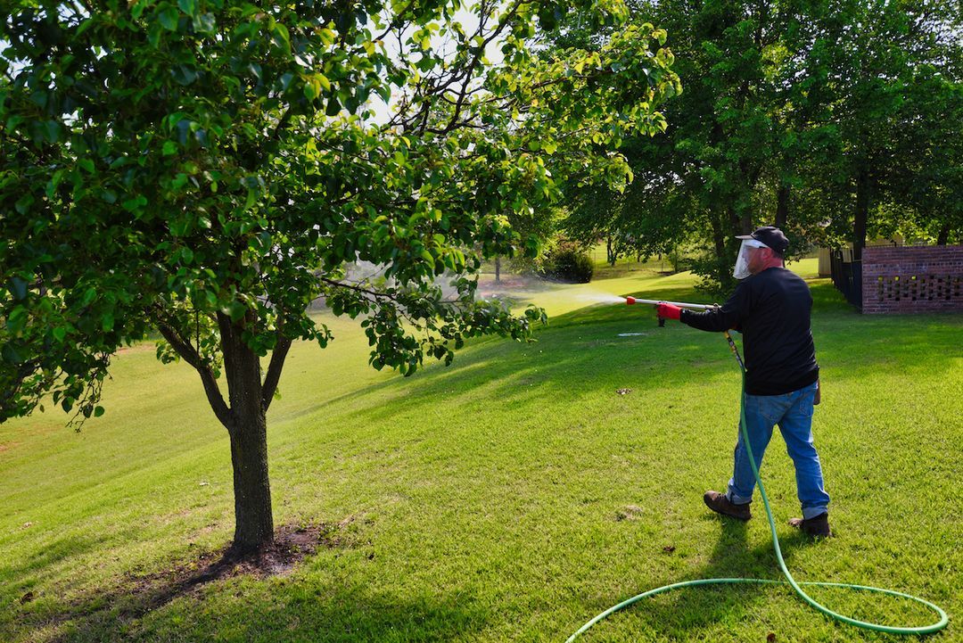 Tree-Service-Newcastle-OK