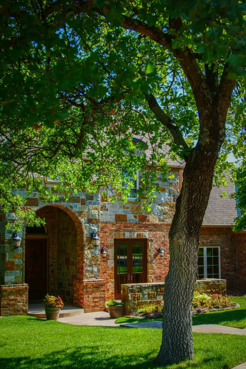 Why Choose Arbor Image? Expert Tree Services in Oklahoma