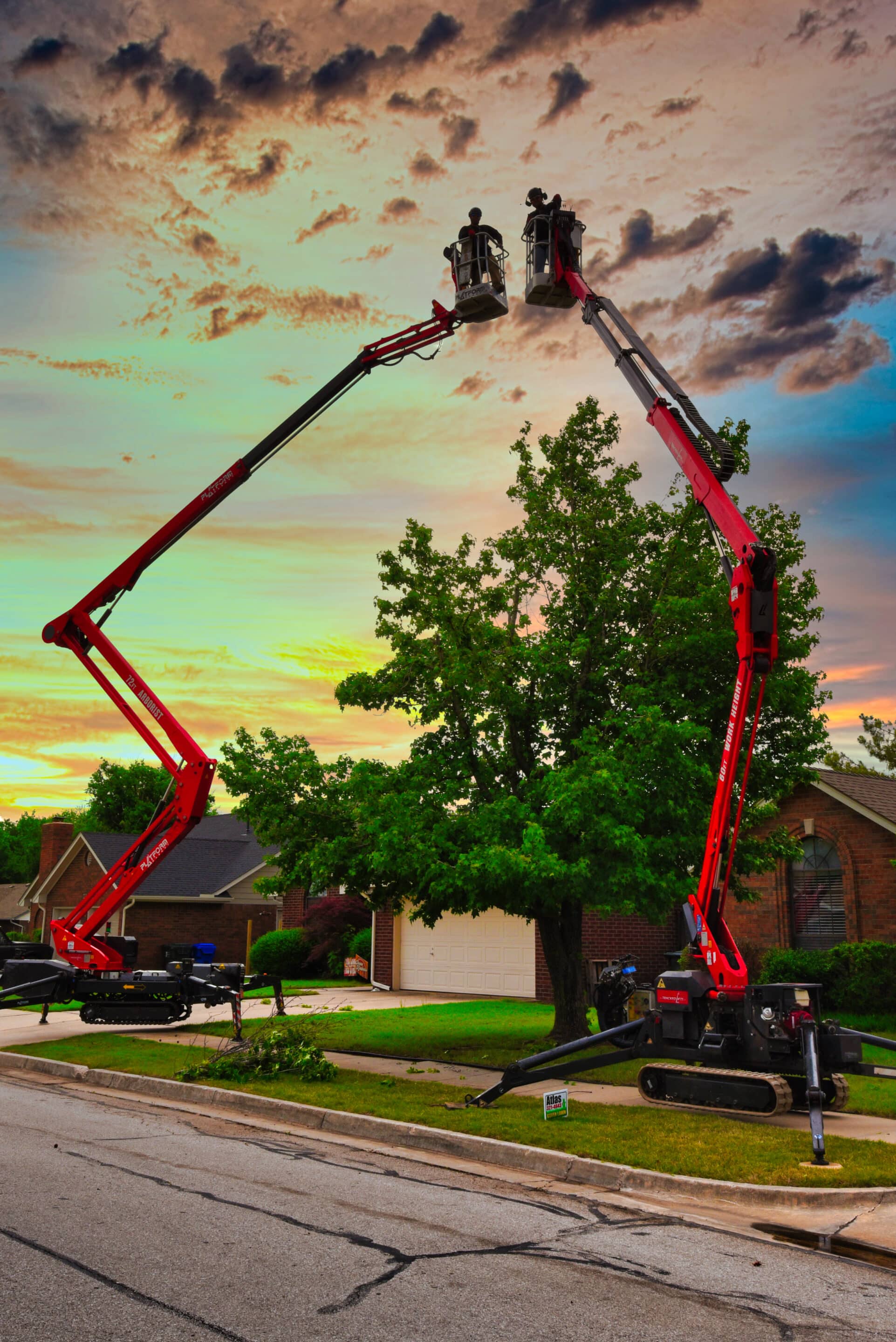 TreePruningRemoval