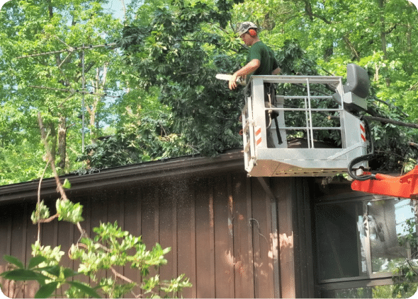 Tree-Service-Nichols-Hills-OK