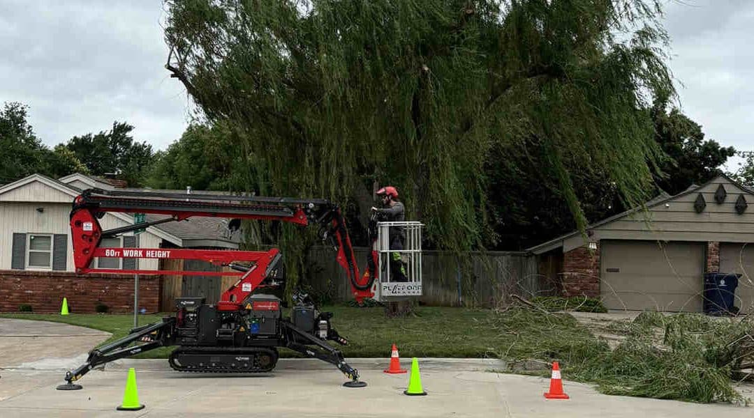 Who to Call When a Tree Falls in the Road in Edmond, OK? 